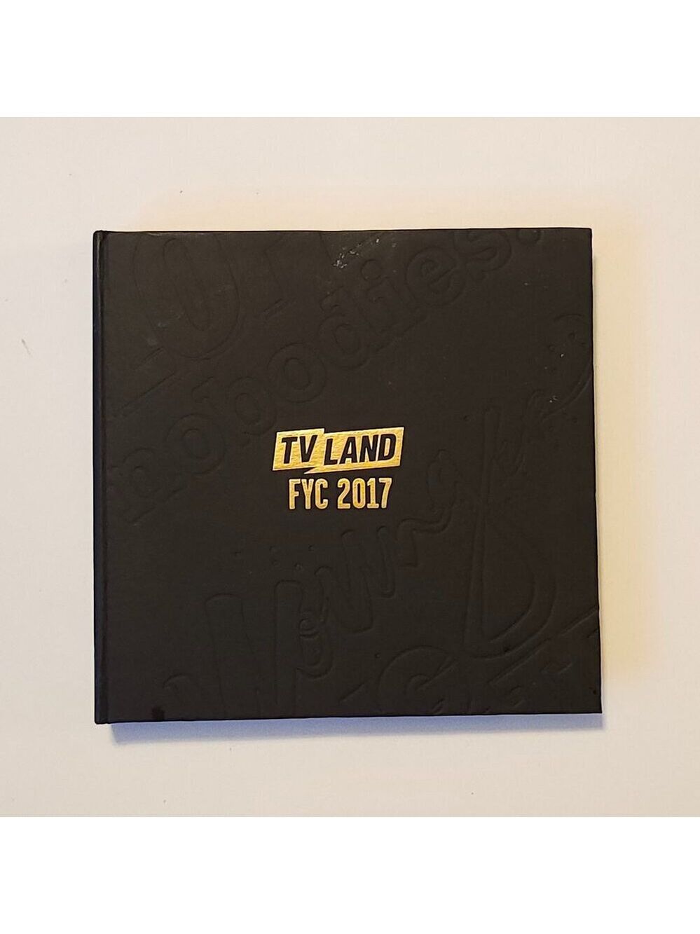 TV Land Emmy FYC 2017 Screener Box Set Younger Nobodies Teachers Lopez Shade